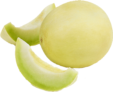 Fresh Cantaloupeand Slices PNG Image