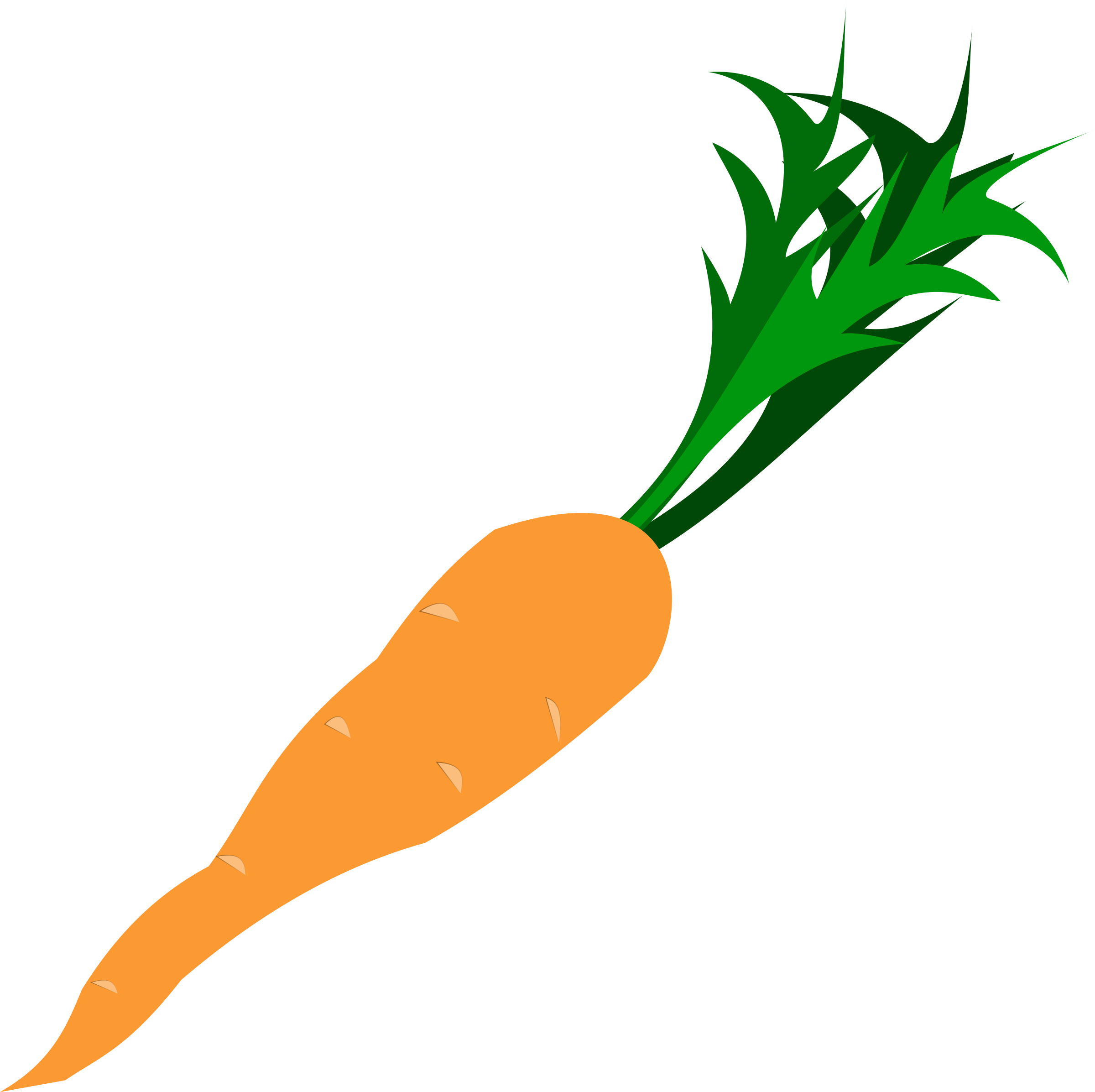 Fresh Carrot Illustration.png PNG Image