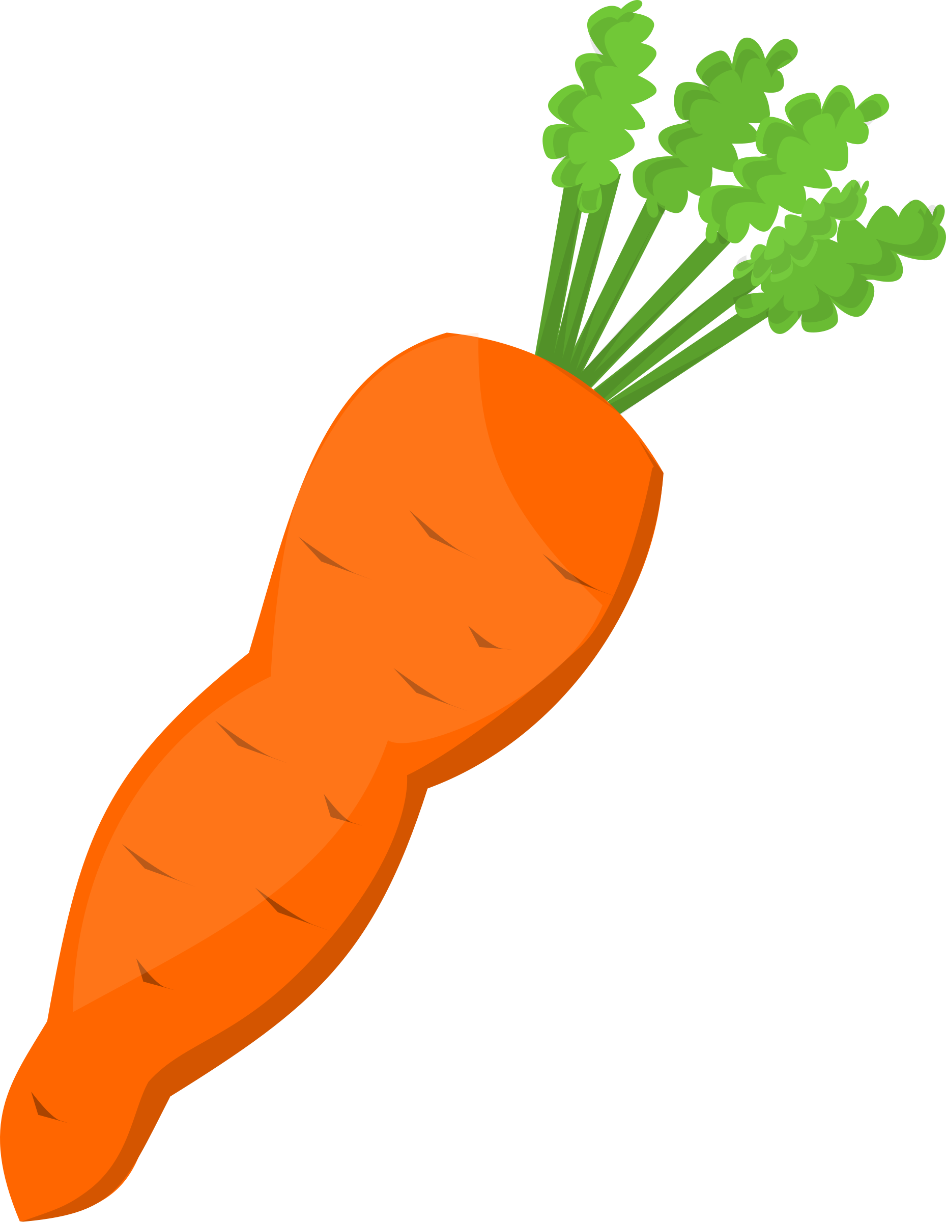 Fresh Carrot Illustration.png PNG Image