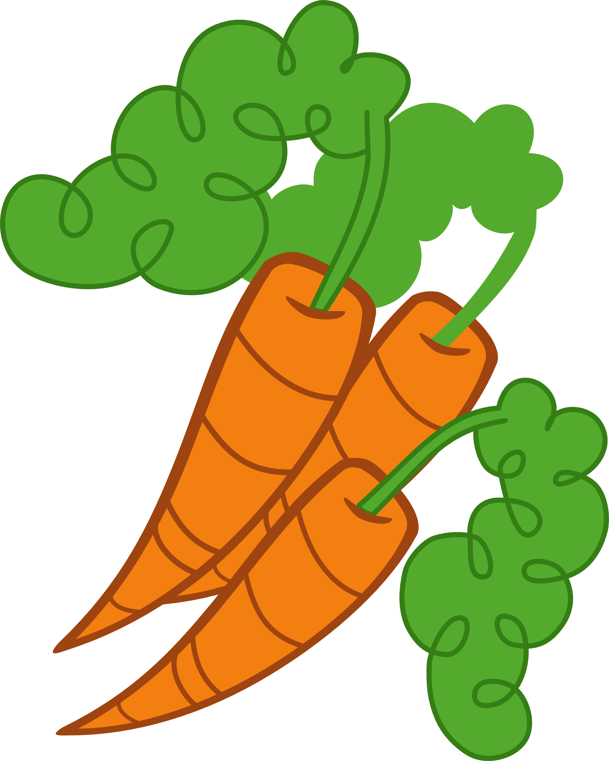 Fresh Carrot Illustration.png PNG Image