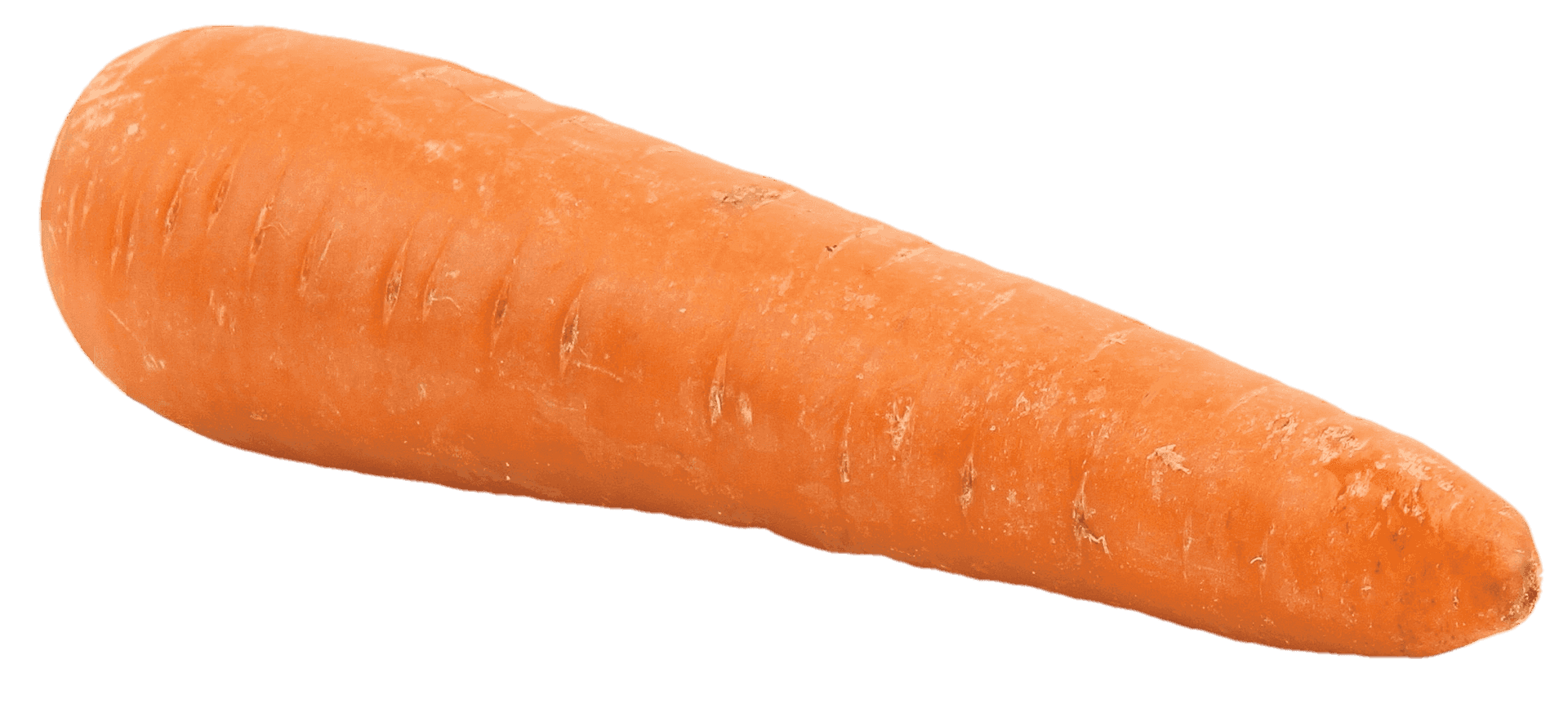 Fresh Carrot Isolated.png PNG Image