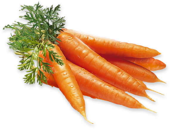 Fresh Carrots Bunch.png PNG Image