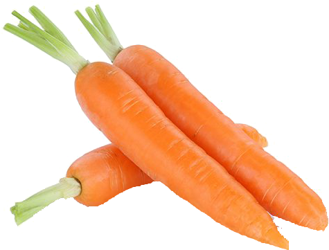 Fresh Carrots Isolated.png PNG Image