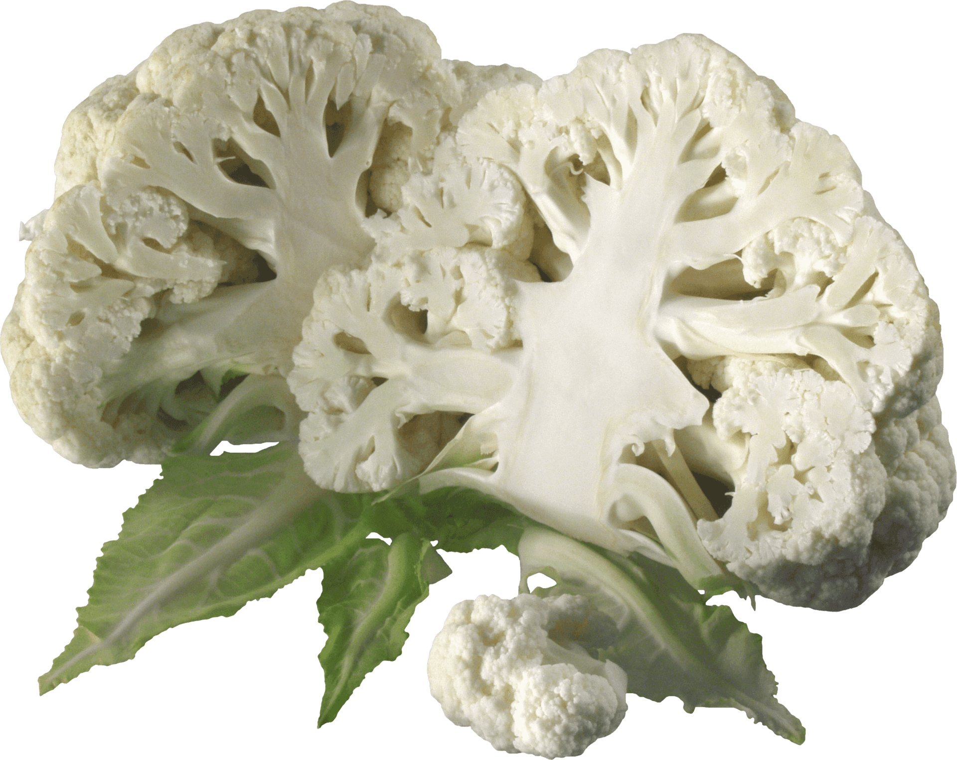 Fresh Cauliflower Cross Section PNG Image