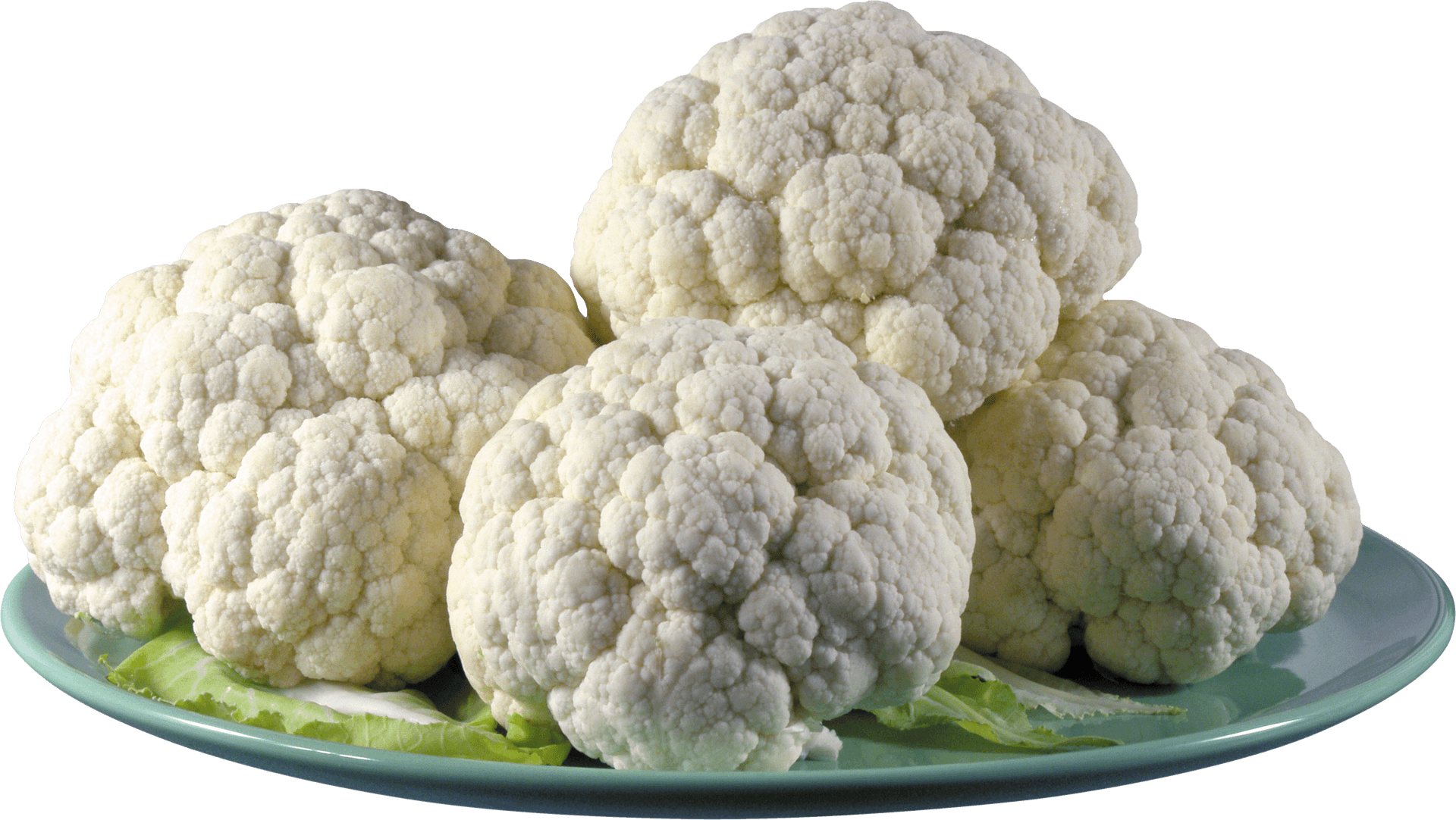 Fresh Cauliflower Headson Plate PNG Image