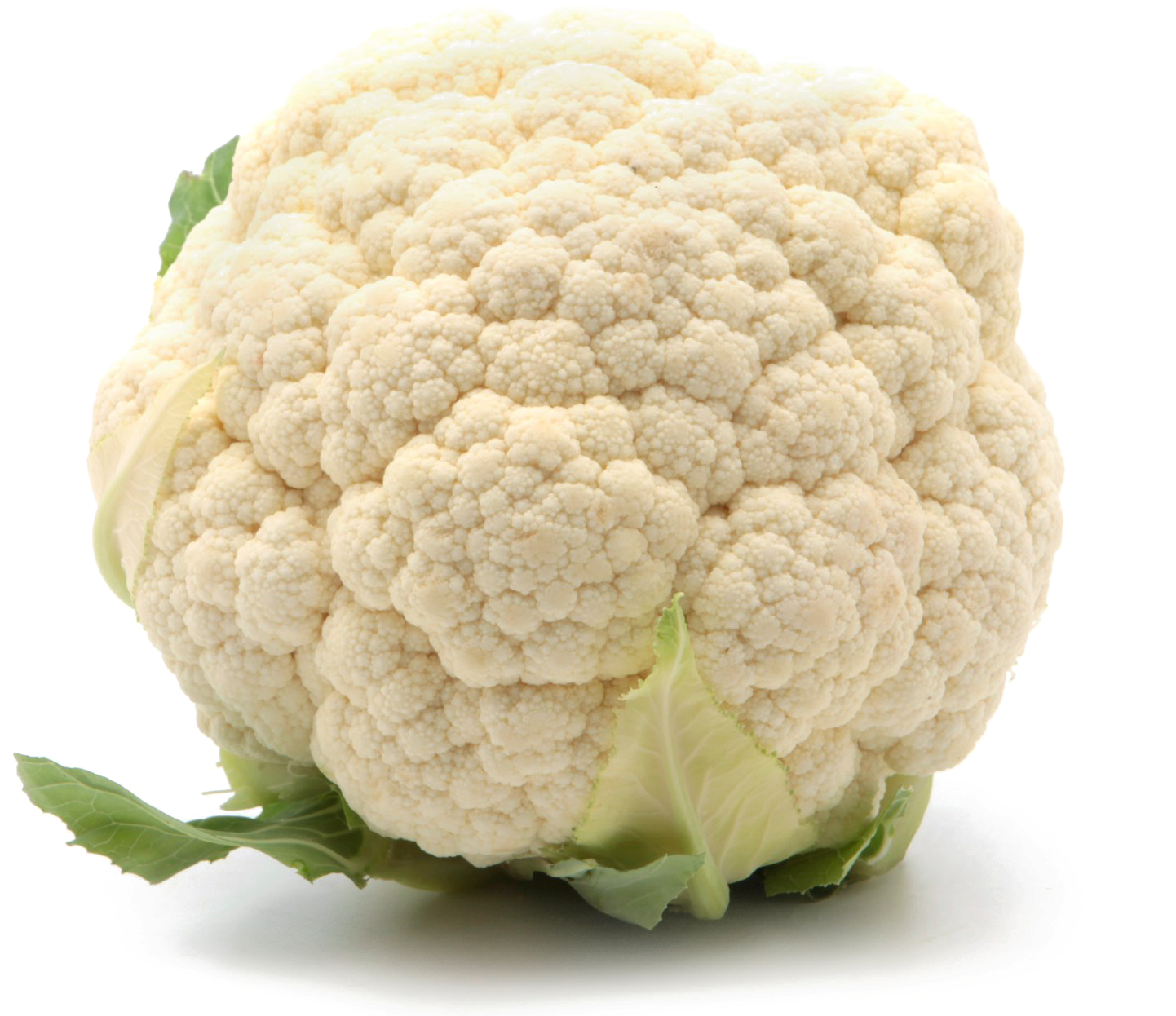 Fresh Cauliflower Isolated.png PNG Image