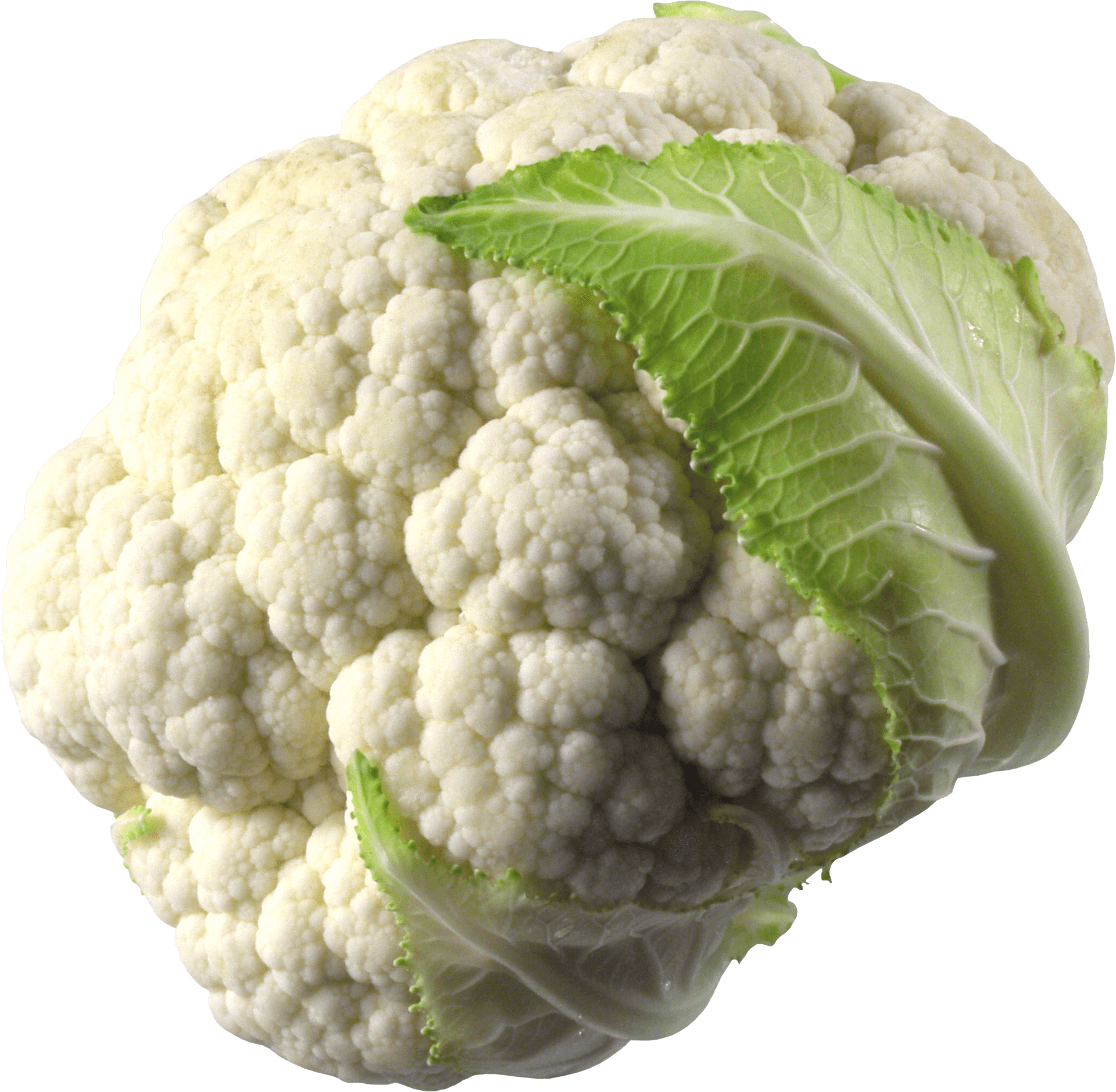 Fresh Cauliflower Isolated.png PNG Image