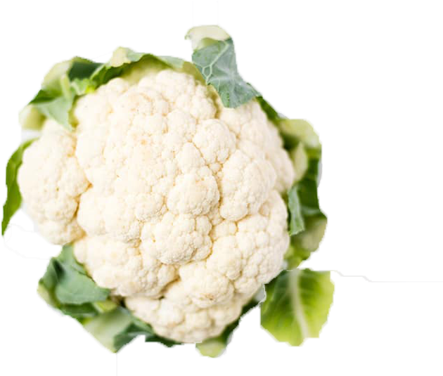 Fresh Cauliflower Isolated.png PNG Image