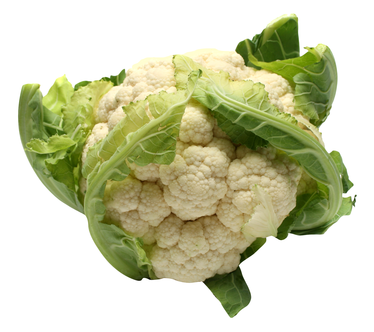 Fresh Cauliflower Isolated.png PNG Image