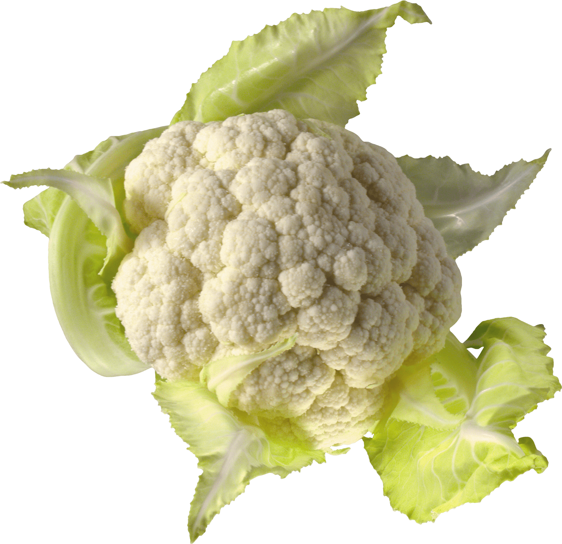 Fresh Cauliflower With Leaves.png PNG Image