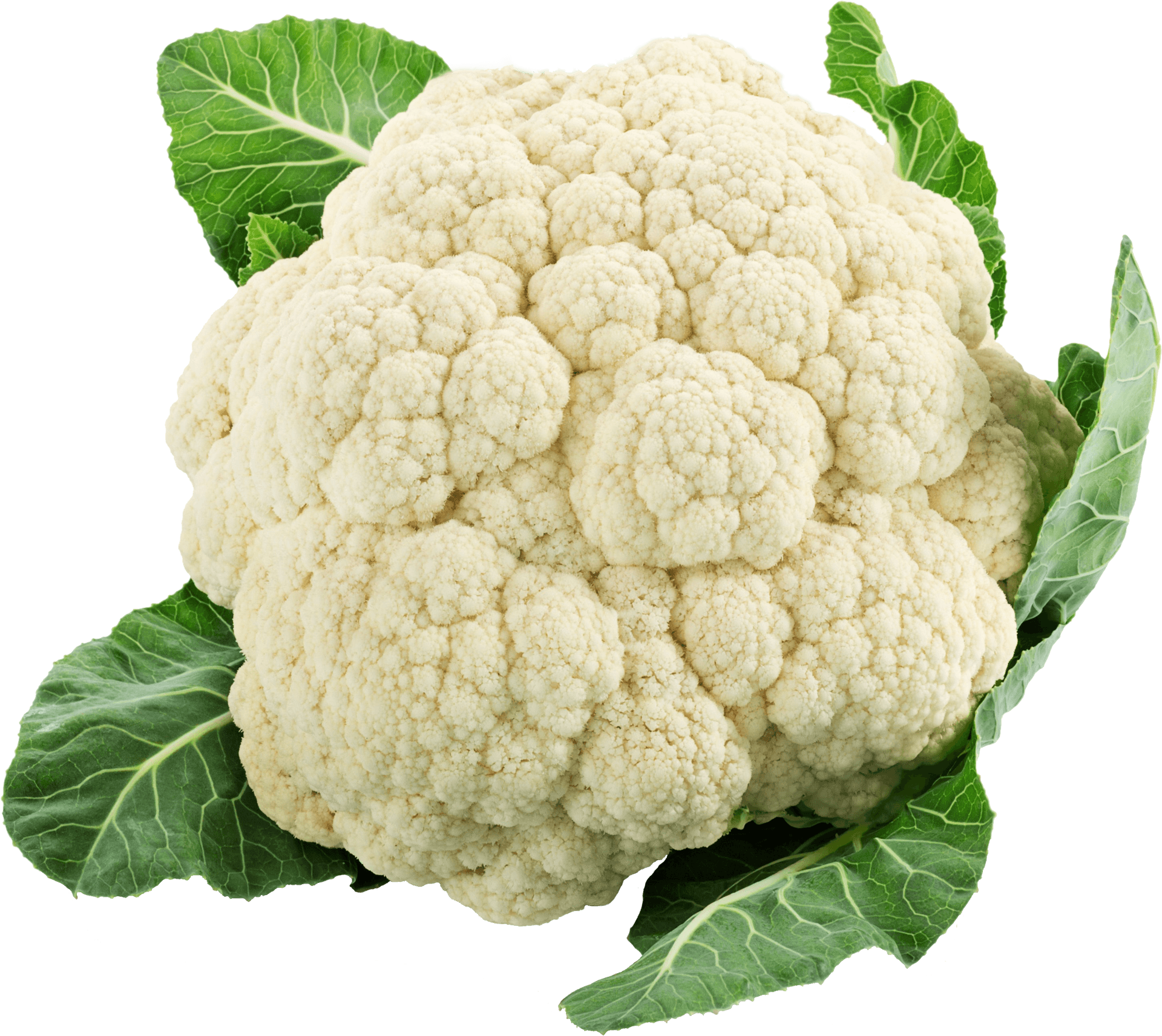 Fresh Cauliflowerwith Leaves.png PNG Image