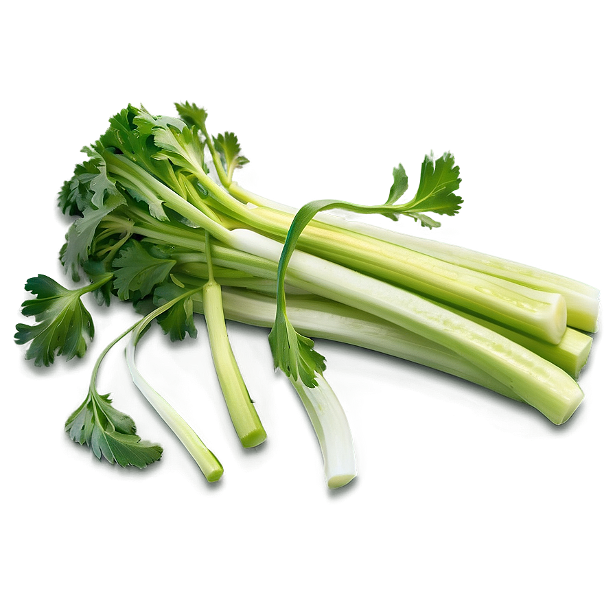 Fresh Celery Png 06252024 PNG Image