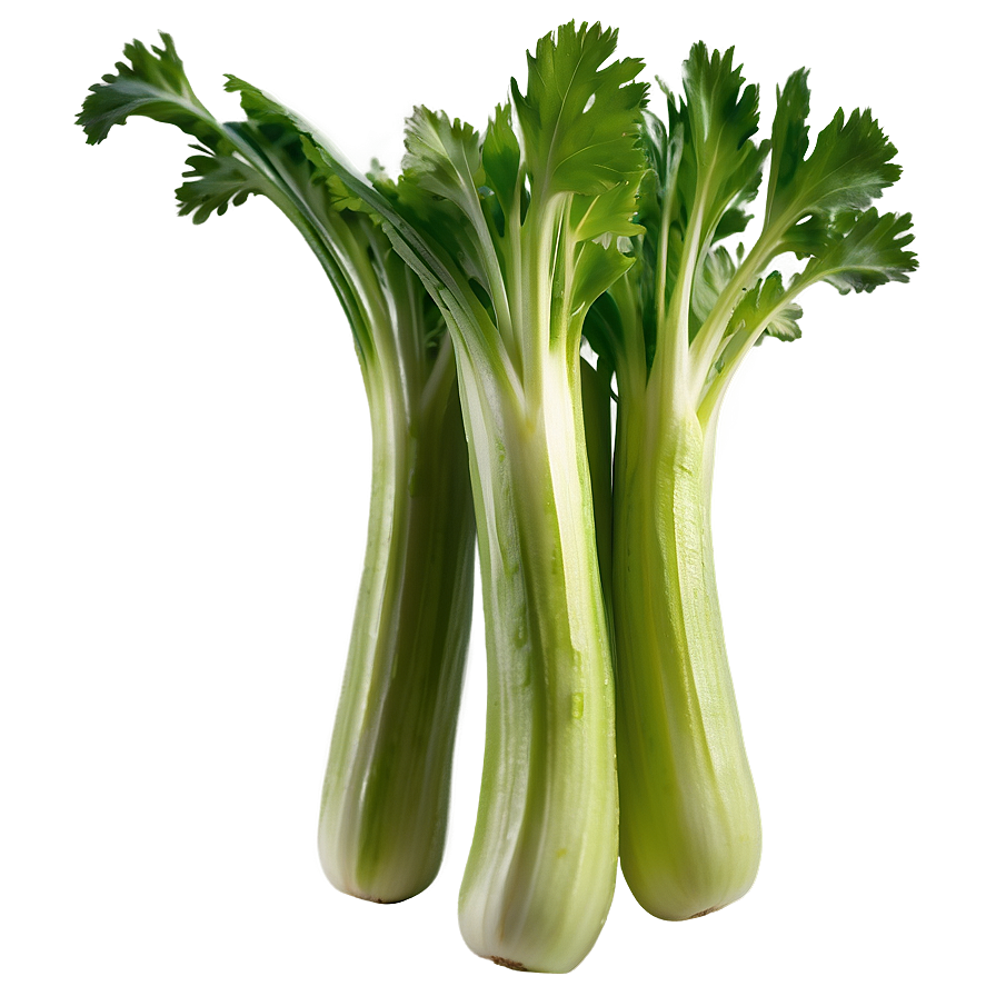 Fresh Celery Png Wmg17 PNG Image