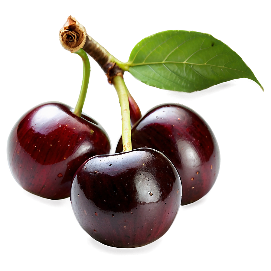 Fresh Cherry Png 72 PNG Image