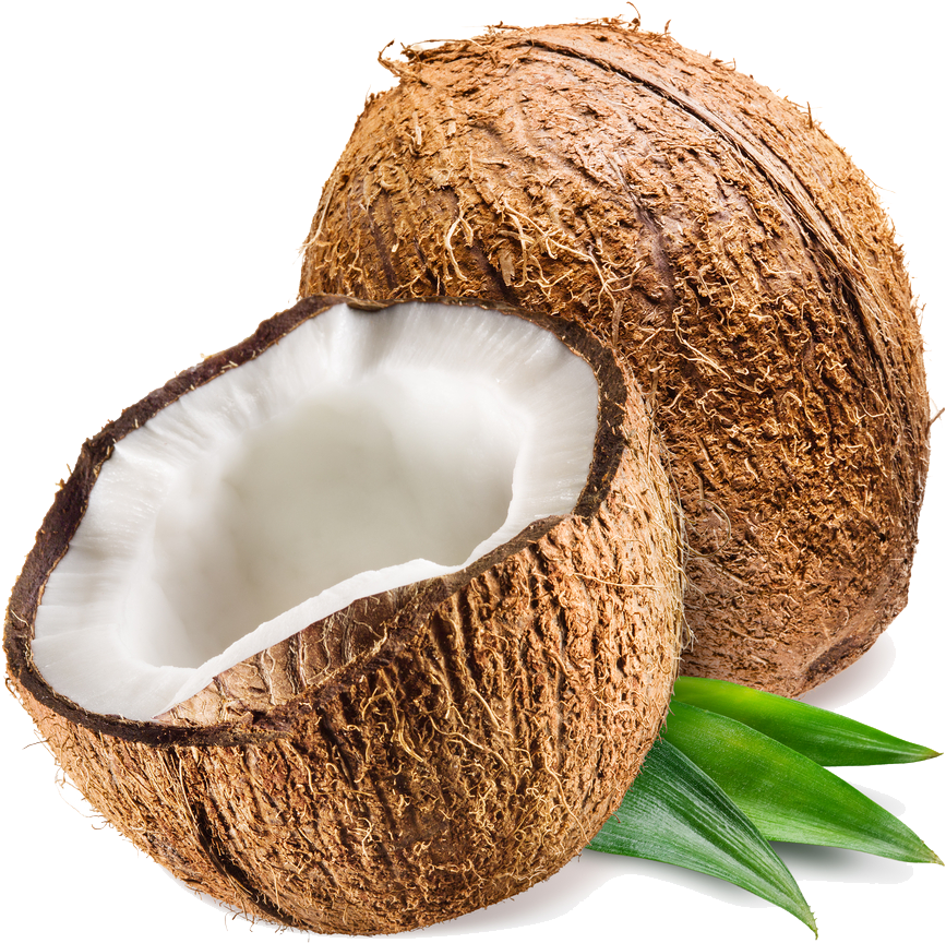 Fresh Coconut Half Transparent Background PNG Image