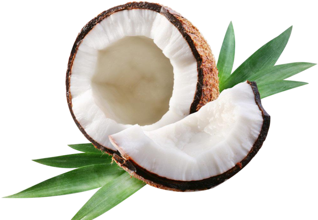 Fresh Coconut Halfwith Green Leaves PNG Image