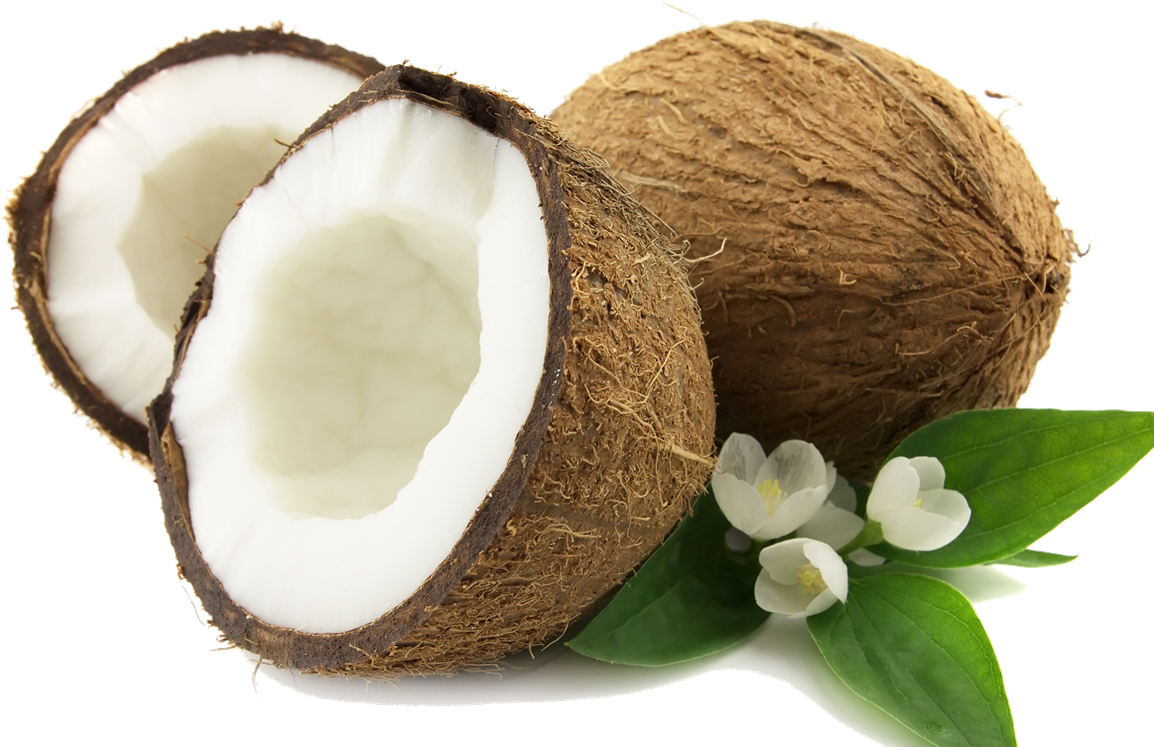 Fresh Coconut Halveswith Flowers PNG Image