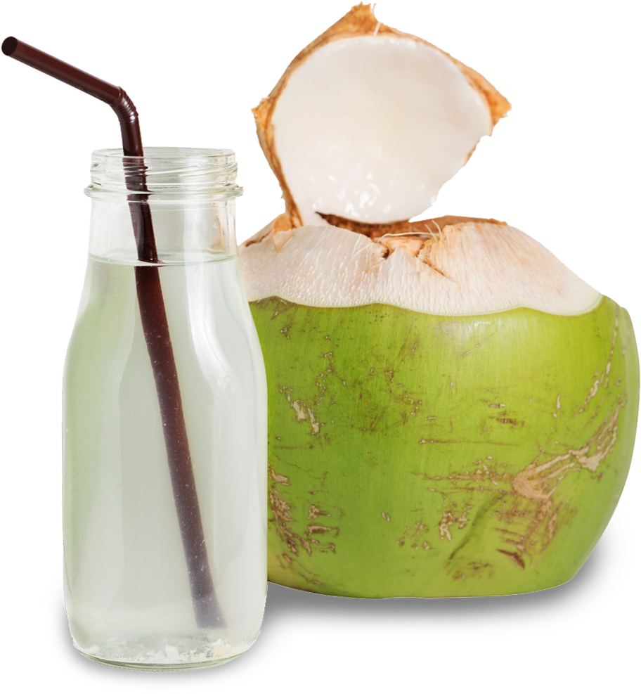 Fresh Coconut Waterand Green Coconut PNG Image