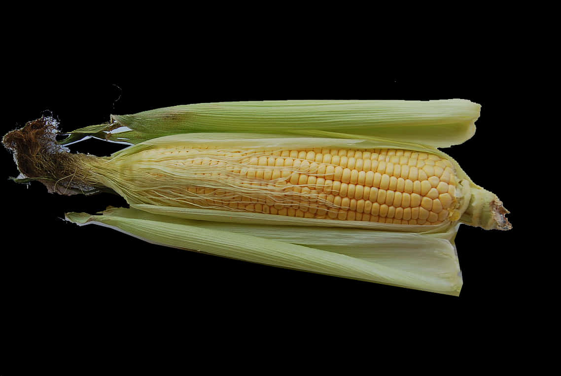 Fresh Corn Cobon Black Background.jpg PNG Image