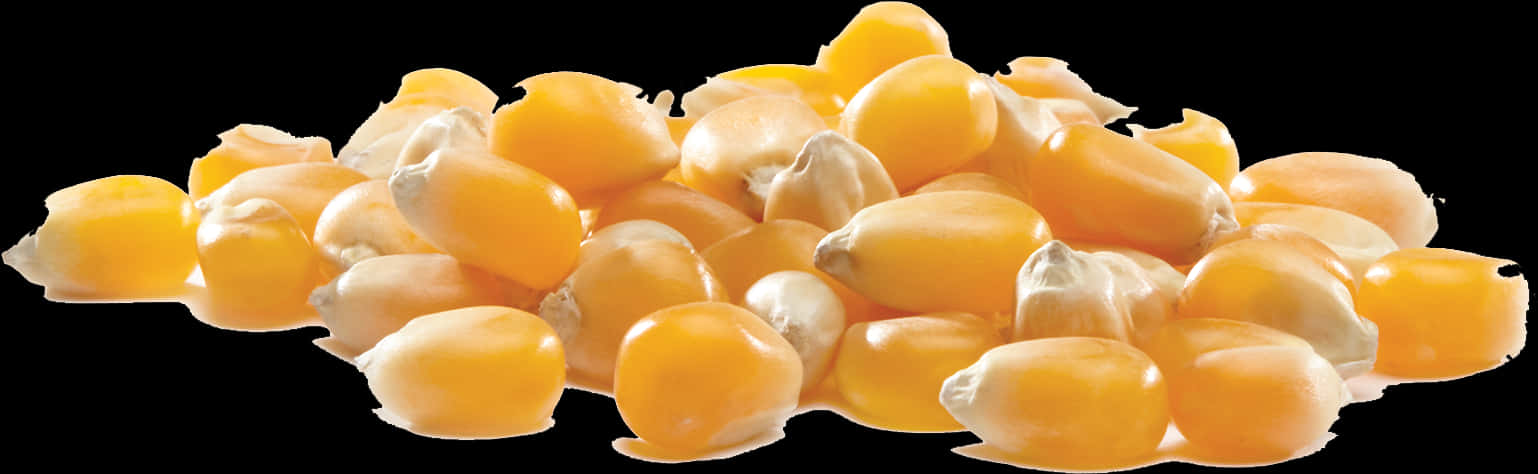 Fresh Corn Kernels Isolatedon Black PNG Image