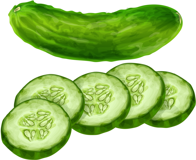 Fresh Cucumberand Slices Illustration PNG Image