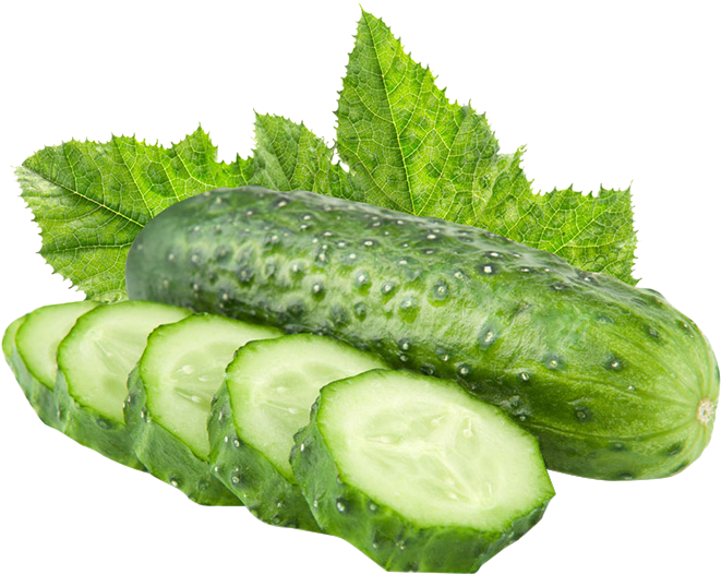 Fresh Cucumberand Sliceswith Leaves.png PNG Image