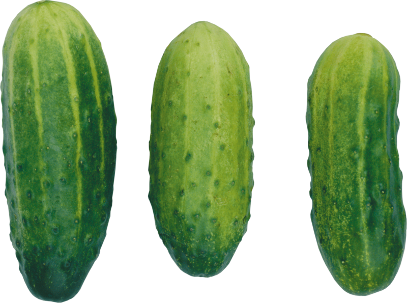 Fresh Cucumbers Isolatedon Transparent Background PNG Image