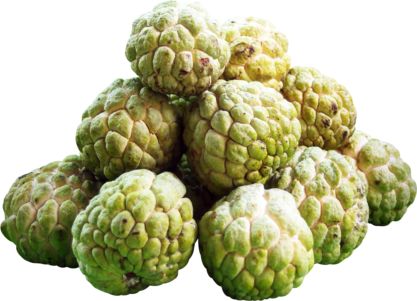 Fresh Custard Apples Isolated Background PNG Image