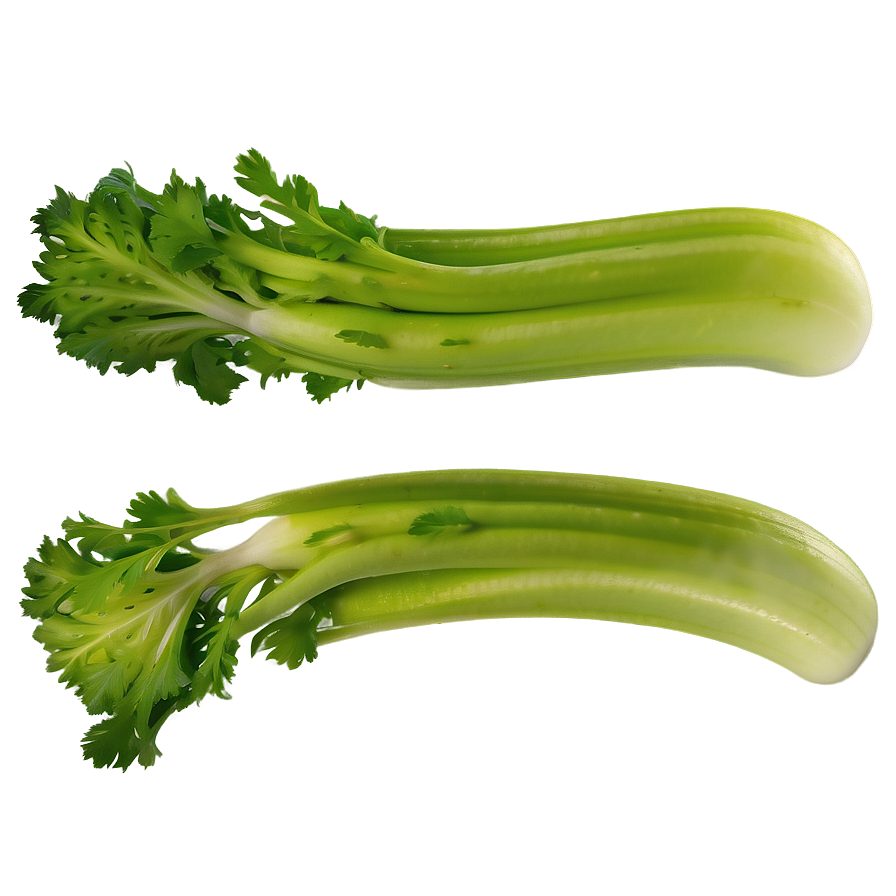 Fresh Cut Celery Png 06252024 PNG Image