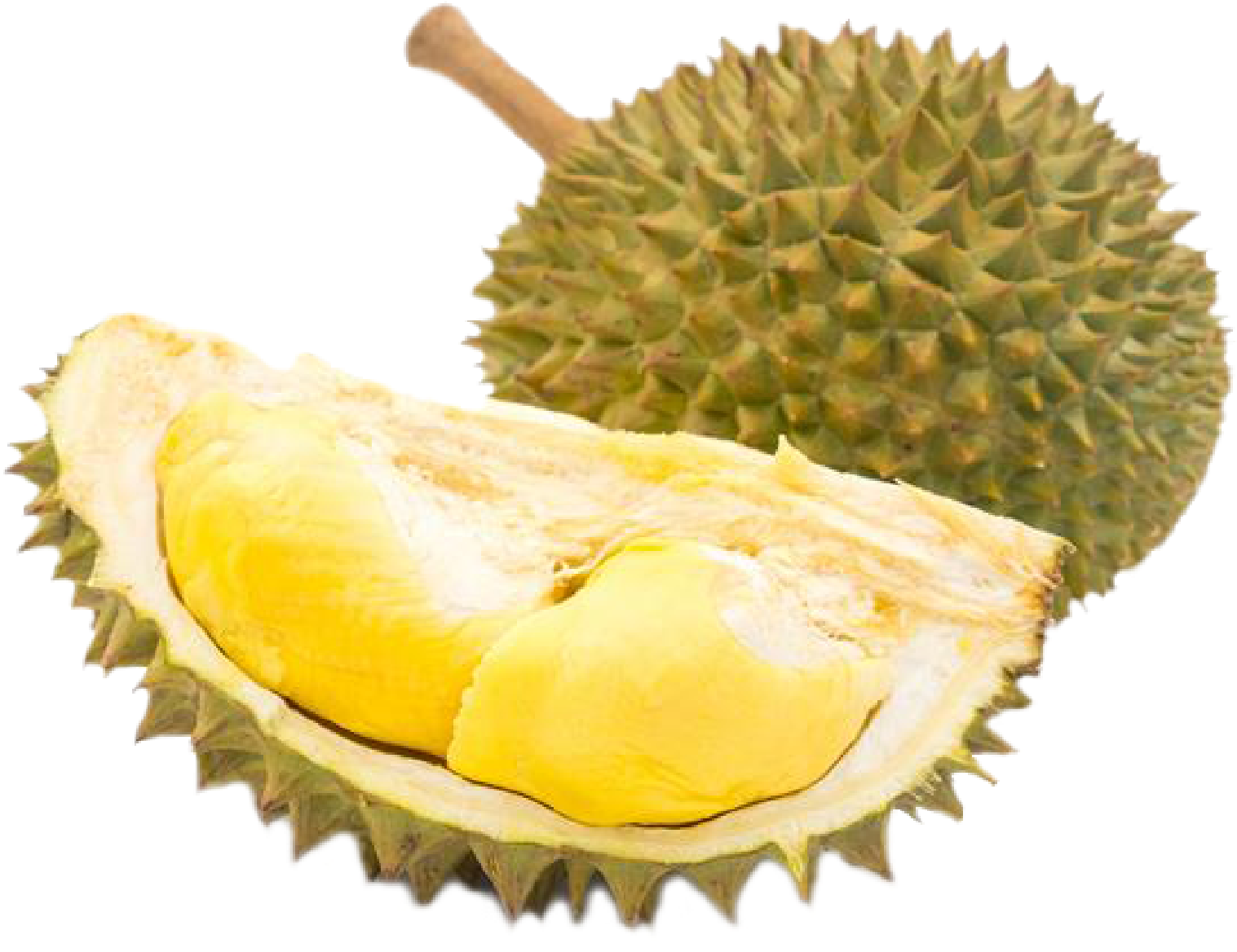 Fresh Durian Fruit Opened PNG Image