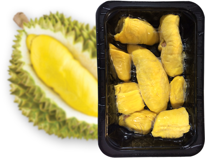 Fresh Durian Fruitand Packaged Pulp PNG Image