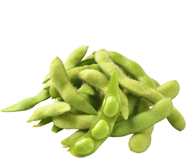 Fresh Edamame Pods Akita Selection PNG Image