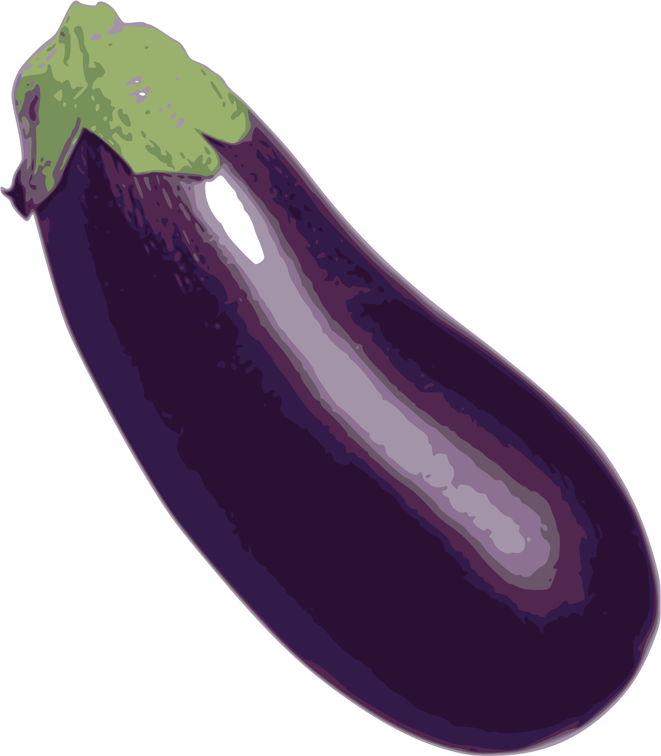 Fresh Eggplant Illustration PNG Image