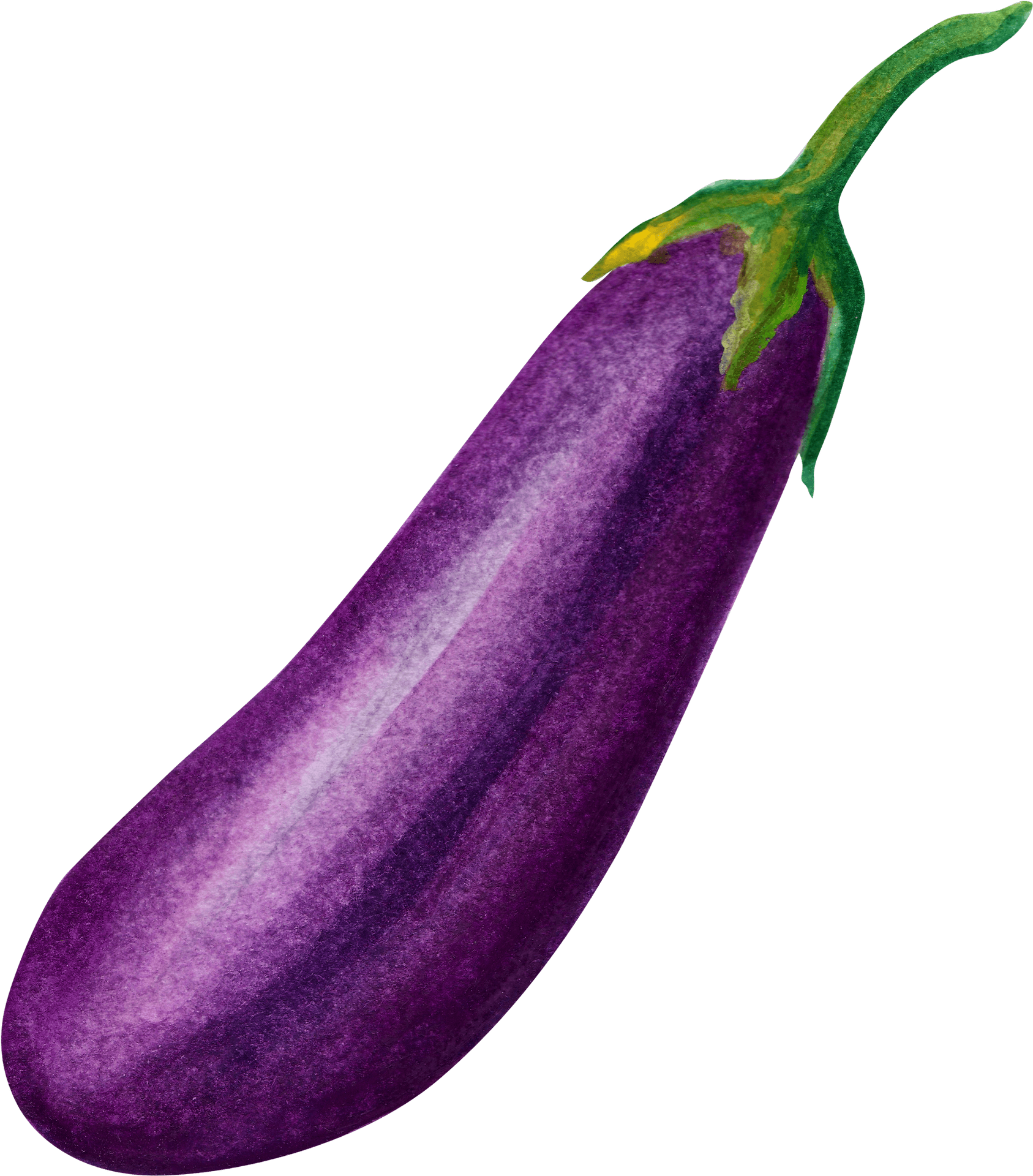 Fresh Eggplant Watercolor Illustration PNG Image