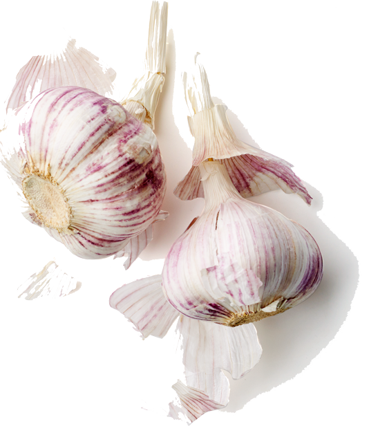 Fresh Garlic Bulbs Isolated PNG Image