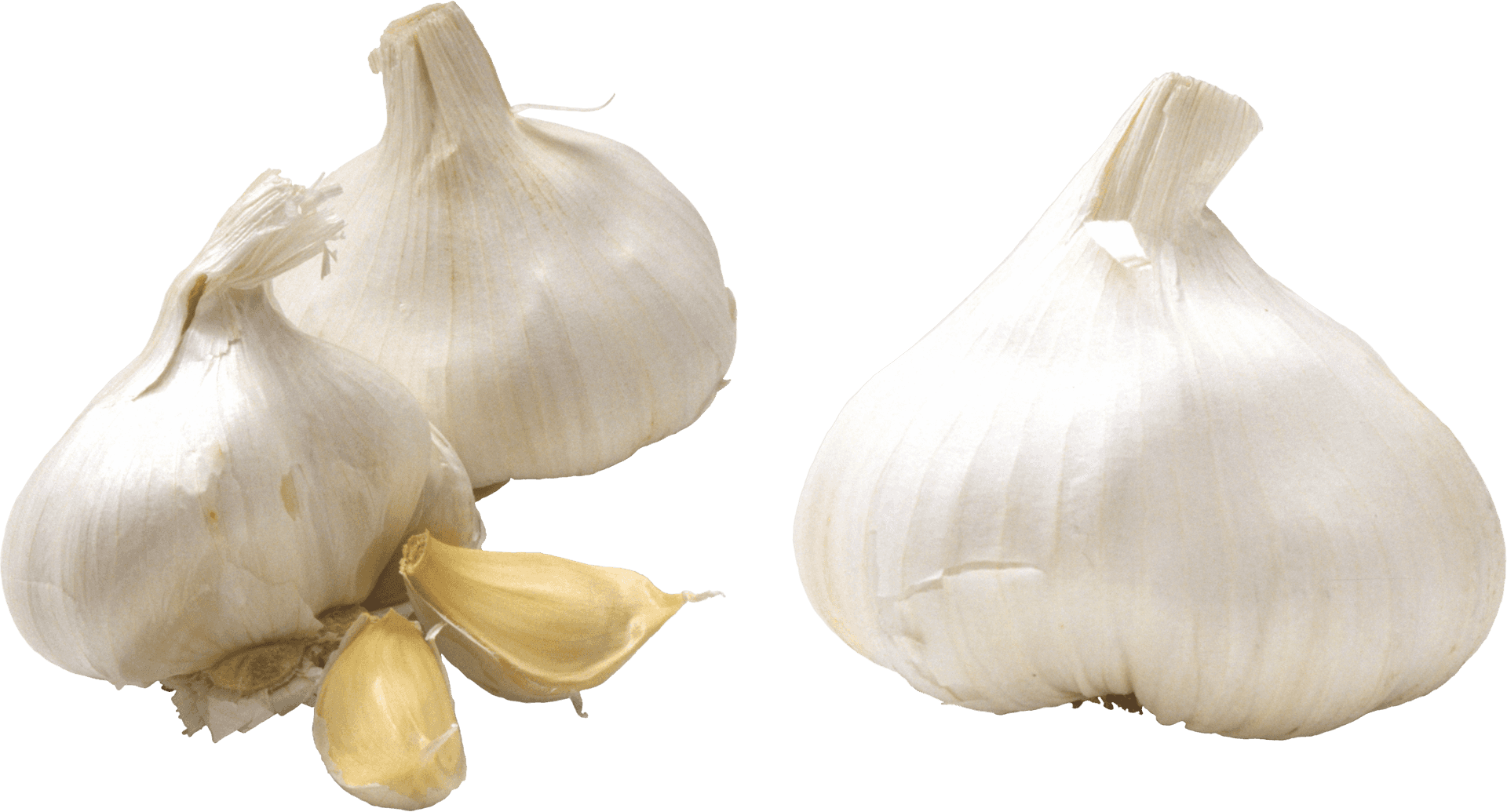 Fresh Garlic Bulbsand Cloves.png PNG Image