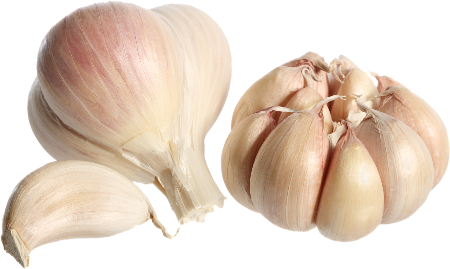 Fresh Garlic Bulbsand Cloves PNG Image