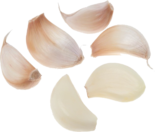 Fresh Garlic Cloves Isolated PNG Image