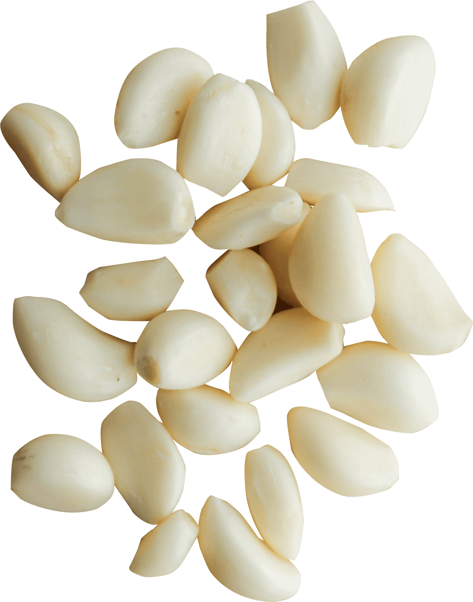 Fresh Garlic Cloves Isolated PNG Image