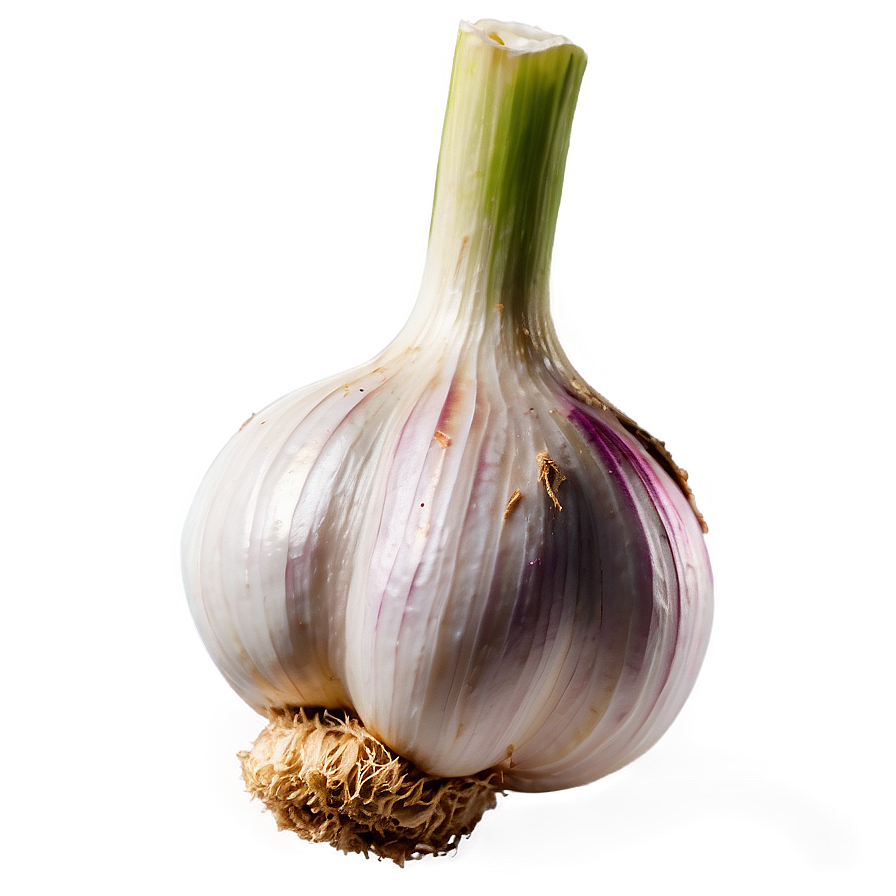 Fresh Garlic Png Ipt PNG Image