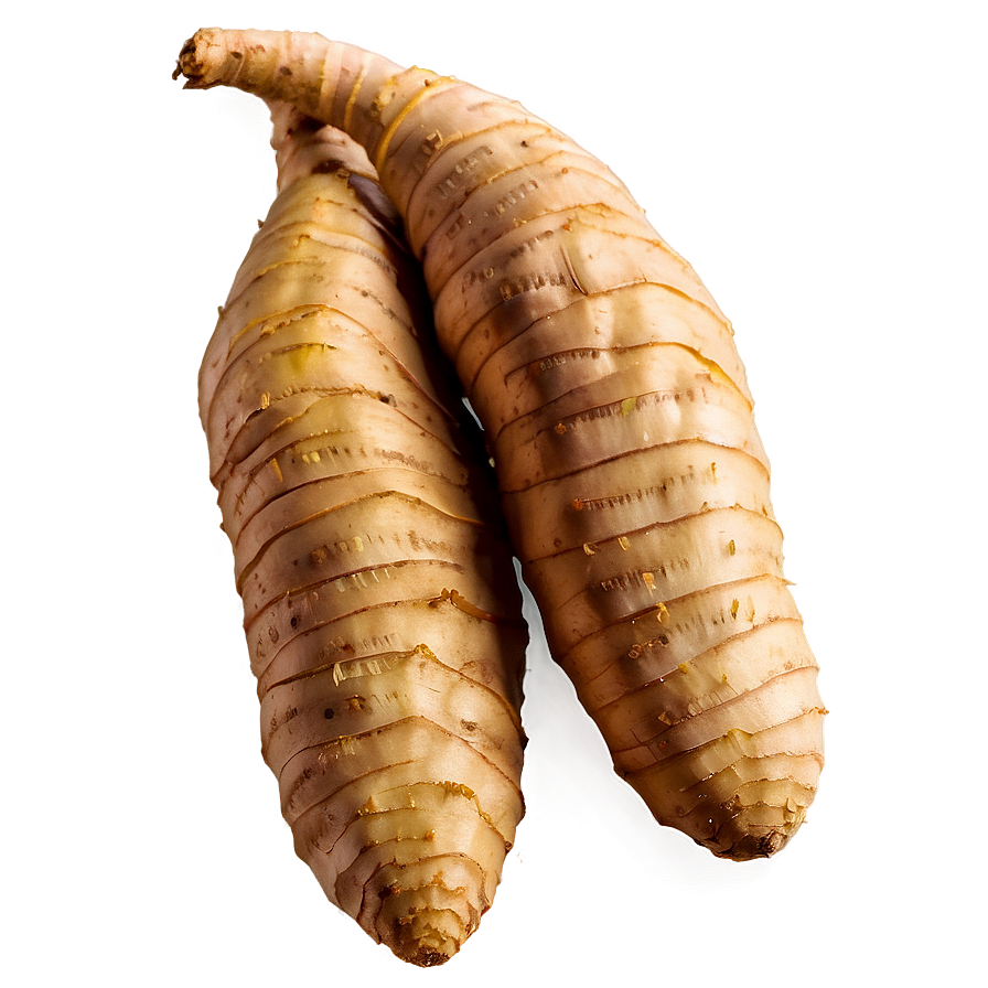 Fresh Ginger Root Png 46 PNG Image