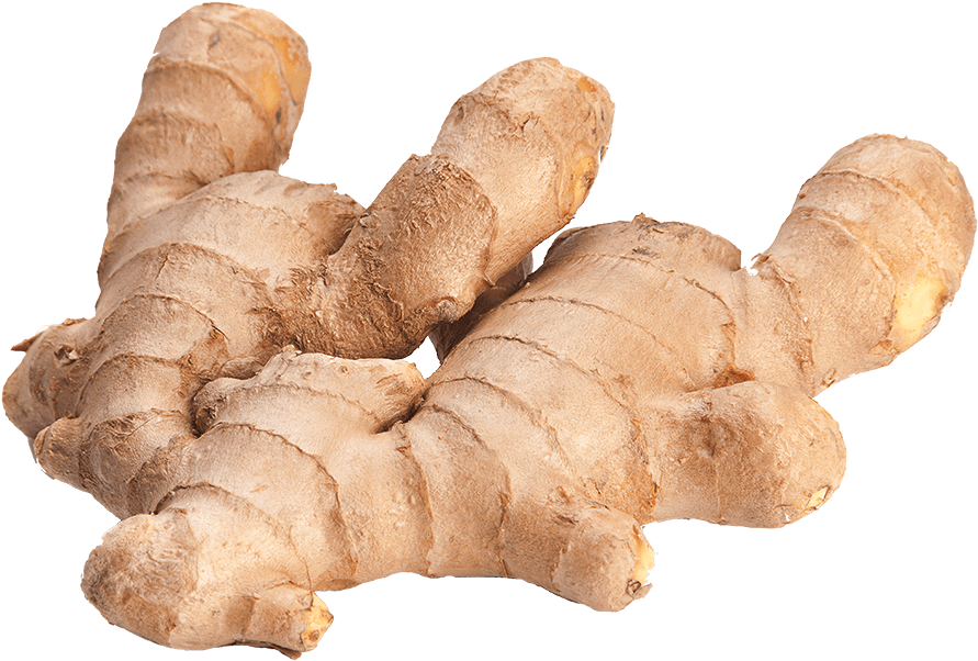 Fresh Ginger Roots PNG Image