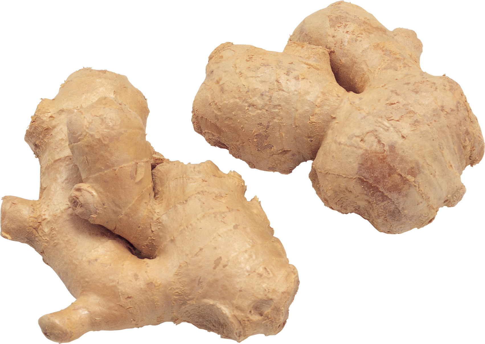 Fresh Ginger Roots PNG Image