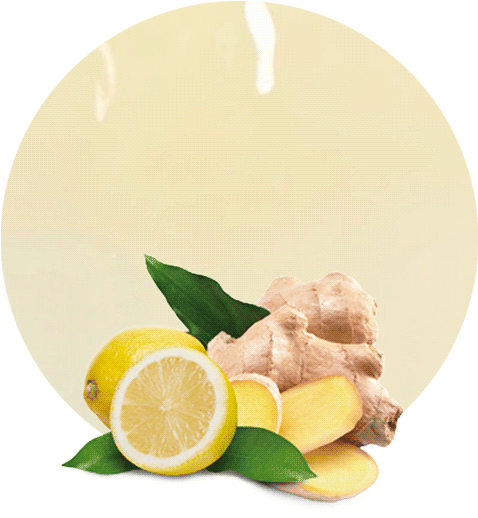 Fresh Gingerand Lemon Slices PNG Image