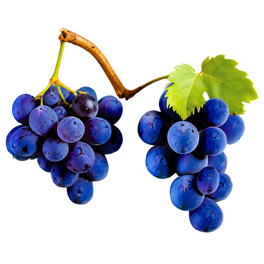 Fresh Grapes Png Upi99 PNG Image