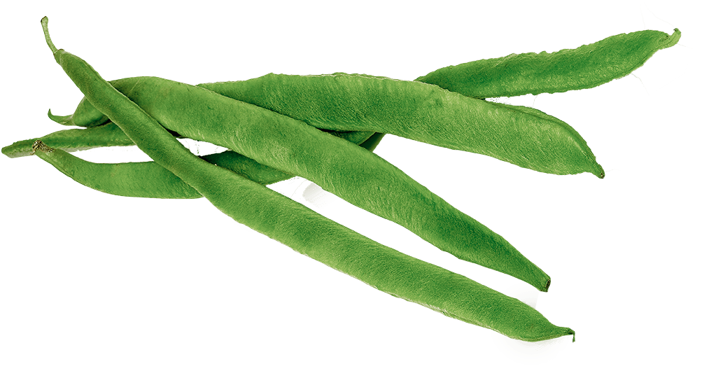 Fresh Green Beans Isolated PNG Image