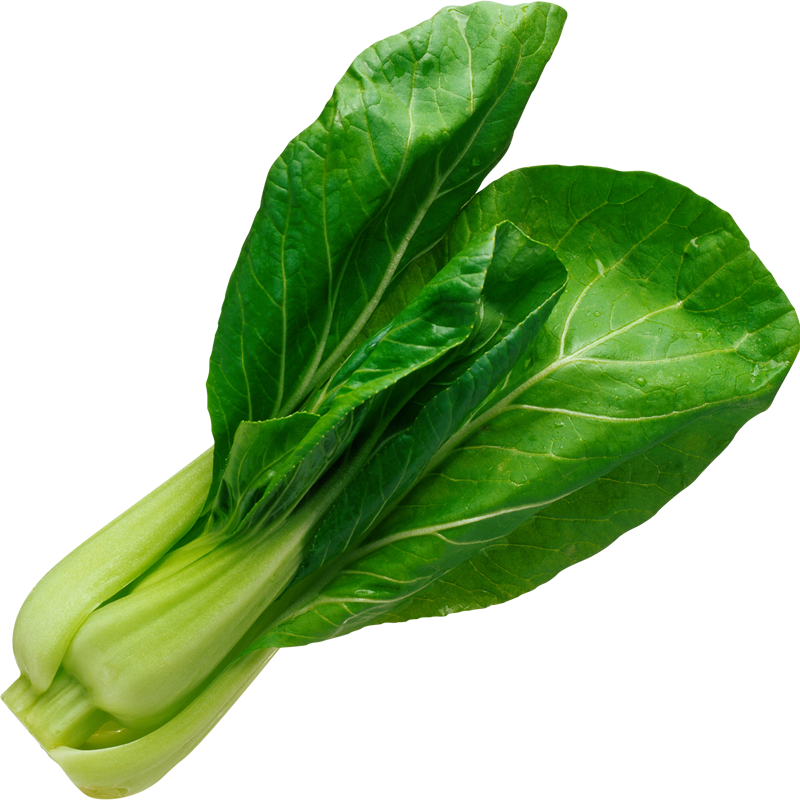 Fresh Green Bok Choy Vegetable.png PNG Image