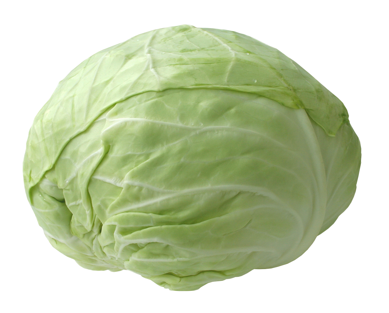 Fresh Green Cabbage PNG Image