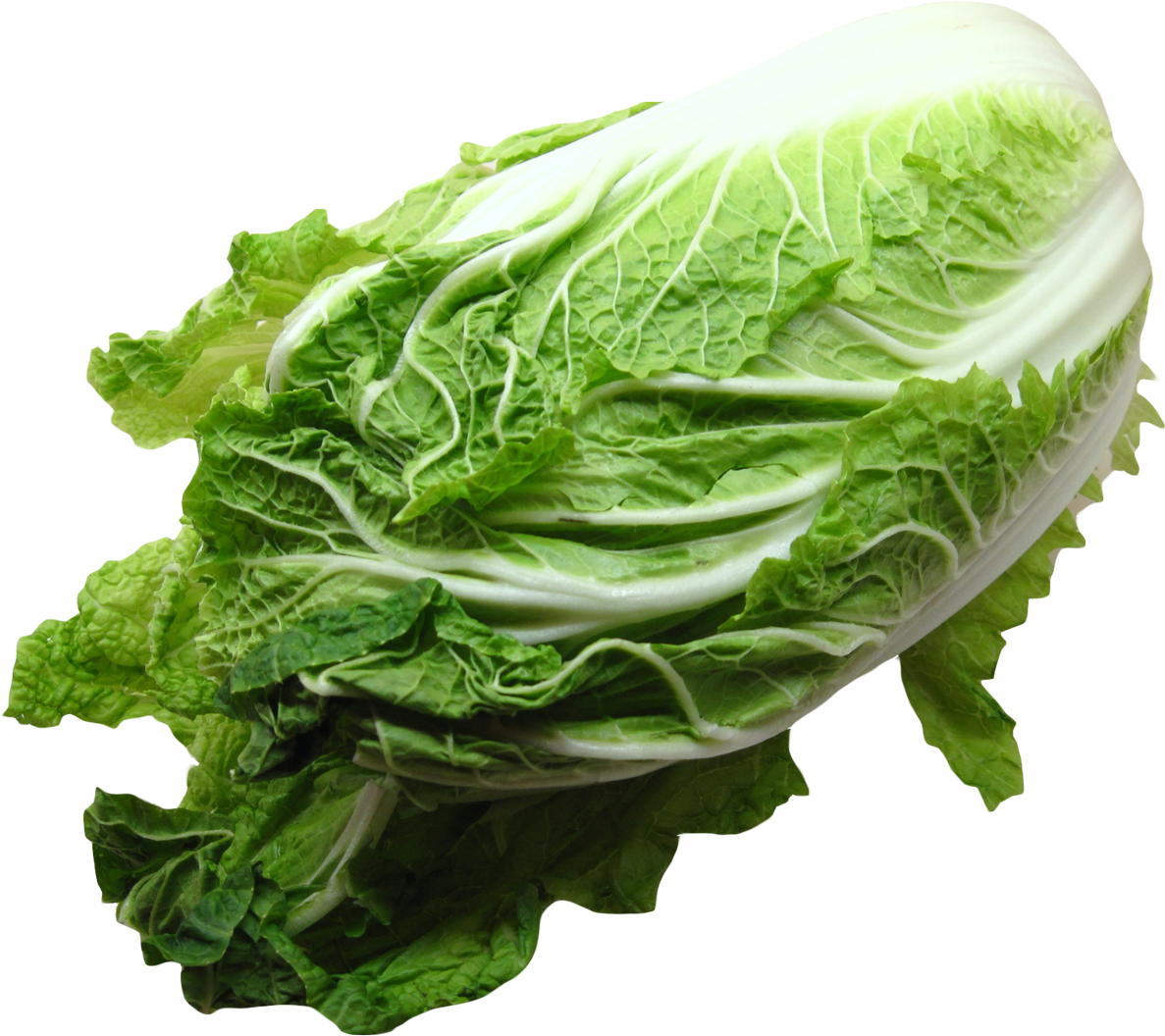 Fresh Green Cabbage P N G Image PNG Image