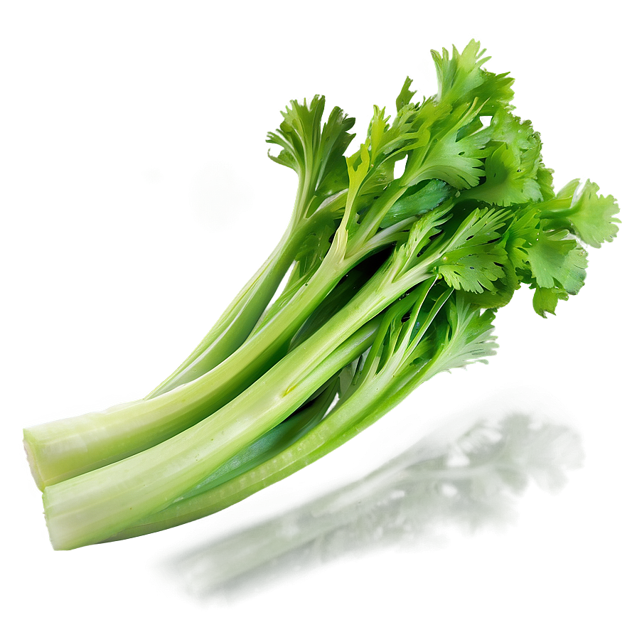 Fresh Green Celery Png Fpn PNG Image